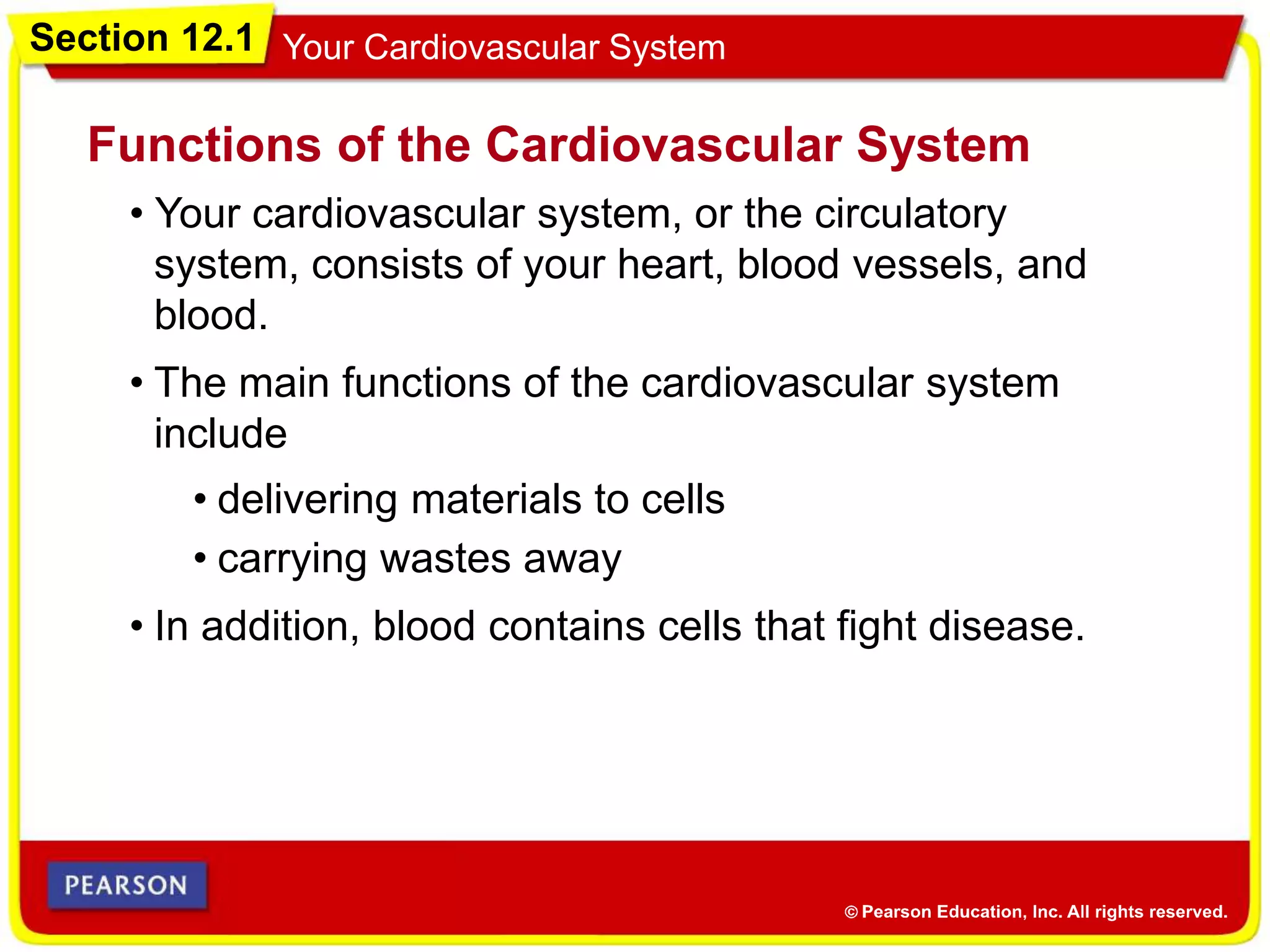 Section 12.1 Your Cardiovascular System
• Your cardiovascular system, or the circulatory
system, consists of your heart, blood vessels, and
blood.
Functions of the Cardiovascular System
• The main functions of the cardiovascular system
include
• delivering materials to cells
• carrying wastes away
• In addition, blood contains cells that fight disease.
 