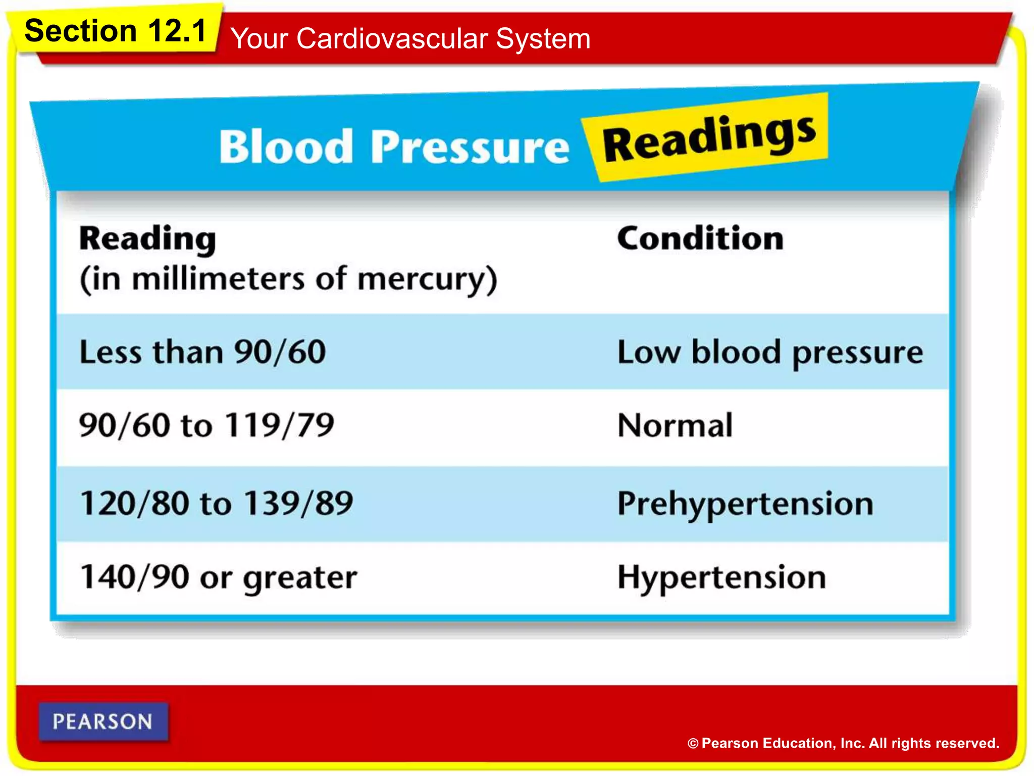 Section 12.1 Your Cardiovascular System
 
