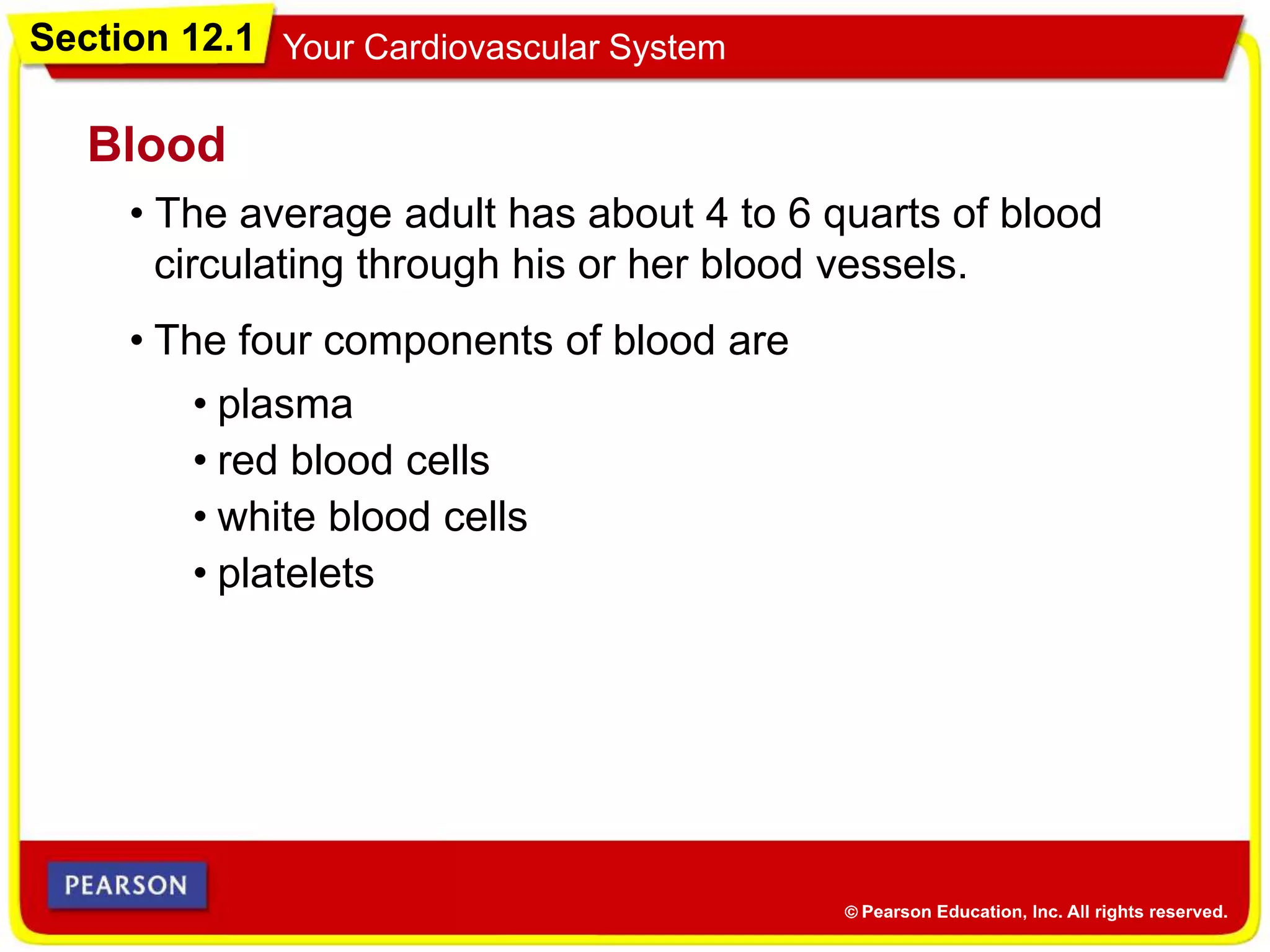 Section 12.1 Your Cardiovascular System
• The average adult has about 4 to 6 quarts of blood
circulating through his or her blood vessels.
Blood
• The four components of blood are
• plasma
• red blood cells
• white blood cells
• platelets
 