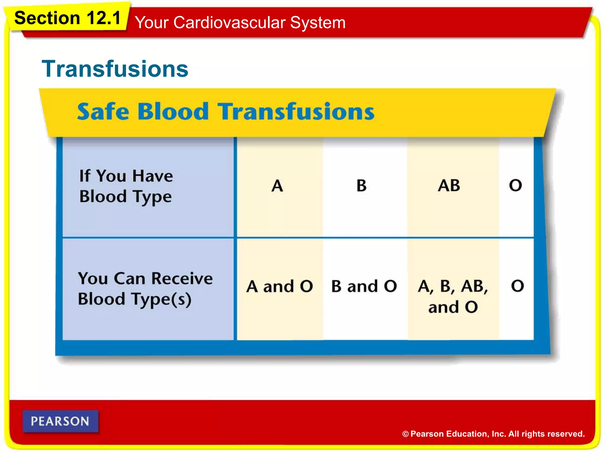 Section 12.1 Your Cardiovascular System
Transfusions
 