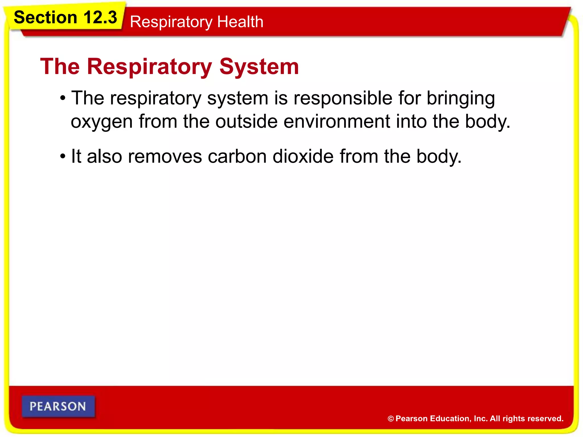 Section 12.3 Respiratory Health
• The respiratory system is responsible for bringing
oxygen from the outside environment into the body.
The Respiratory System
• It also removes carbon dioxide from the body.
 