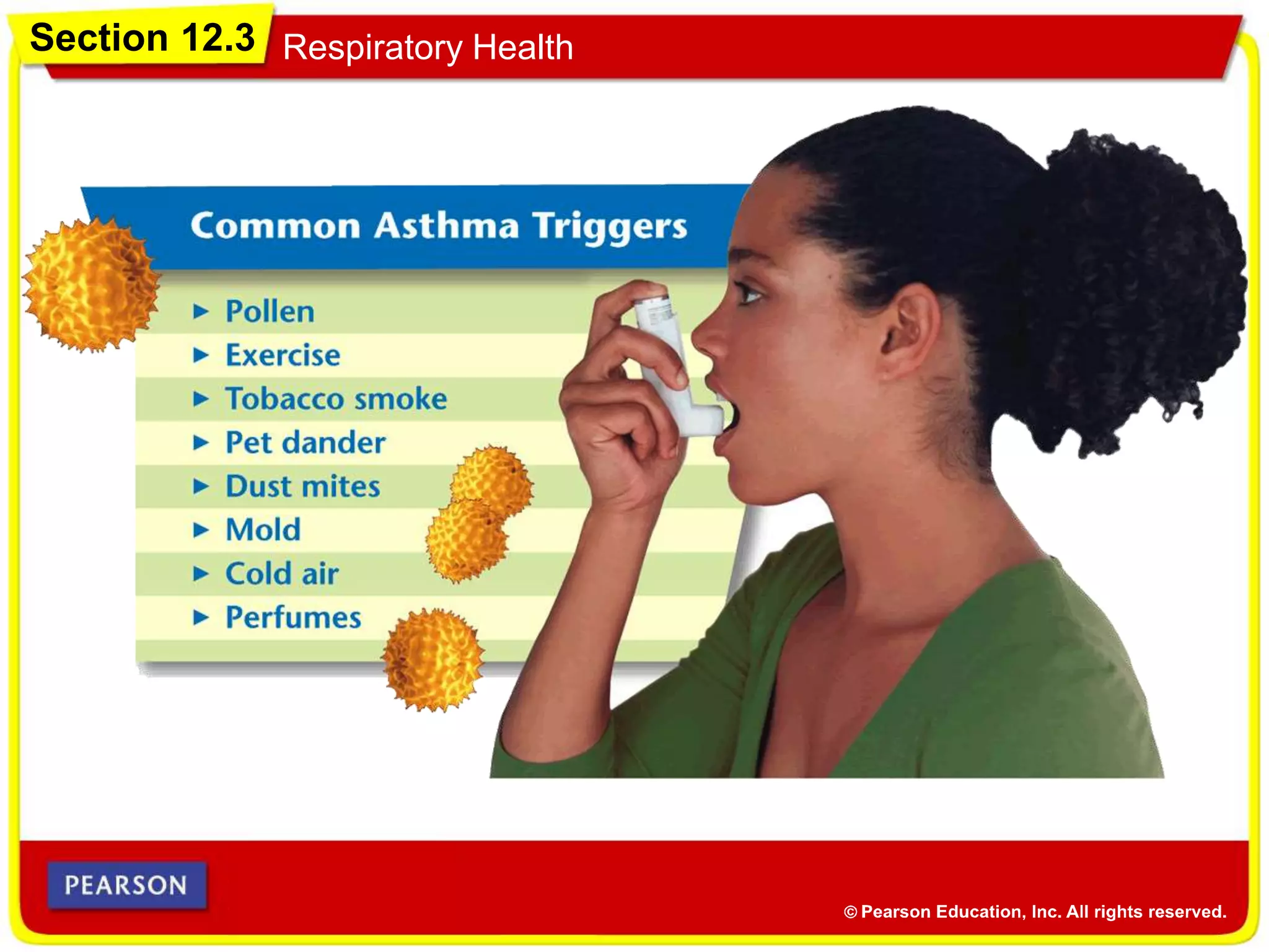 Section 12.3 Respiratory Health
 