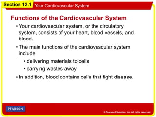 Section 12.1 Your Cardiovascular System
• Your cardiovascular system, or the circulatory
system, consists of your heart, blood vessels, and
blood.
Functions of the Cardiovascular System
• The main functions of the cardiovascular system
include
• delivering materials to cells
• carrying wastes away
• In addition, blood contains cells that fight disease.
 
