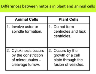 Differences between mitosis in plant and animal cells

       Animal Cells               Plant Cells
   1. Involve aster or      1. Do not form
      spindle formation.       centrioles and lack
                               centrioles.


   2. Cytokinesis occurs    2. Occurs by the
      by the constriction      growth of a cell
      of microtubules –        plate through the
      cleavage furrow.         fusion of vesicles.
 