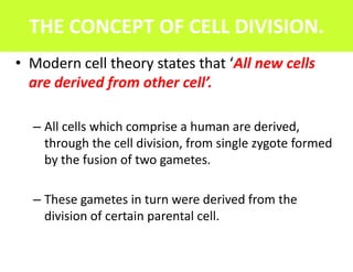 THE CONCEPT OF CELL DIVISION.
• Modern cell theory states that ‘All new cells
  are derived from other cell’.

  – All cells which comprise a human are derived,
    through the cell division, from single zygote formed
    by the fusion of two gametes.

  – These gametes in turn were derived from the
    division of certain parental cell.
 
