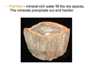 Chapter+12+geologic+time | PPT