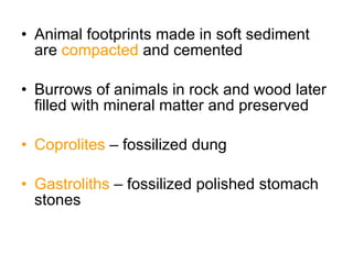 Chapter+12+geologic+time | PPT