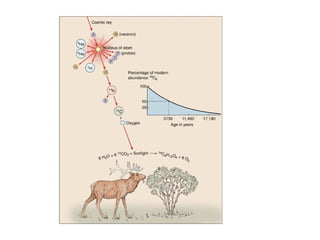 Chapter+12+geologic+time | PPT