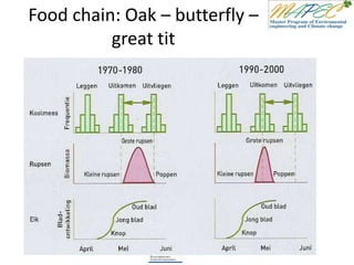 Food chain: Oak – butterfly –
great tit
 