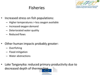 Fisheries
• Increased stress on fish populations:
– Higher temperatures > less oxygen available
– Increased oxygen demand
– Deteriorated water quality
– Reduced flows
• Other human impacts probably greater:
– Overfishing
– Flood mitigation
– Water abstractions
• Lake Tanganyika: reduced primary productivity due to
decreased depth of thermocline.
 