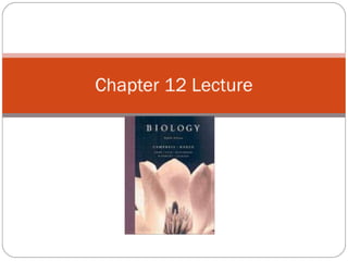Chapter 12 lecture