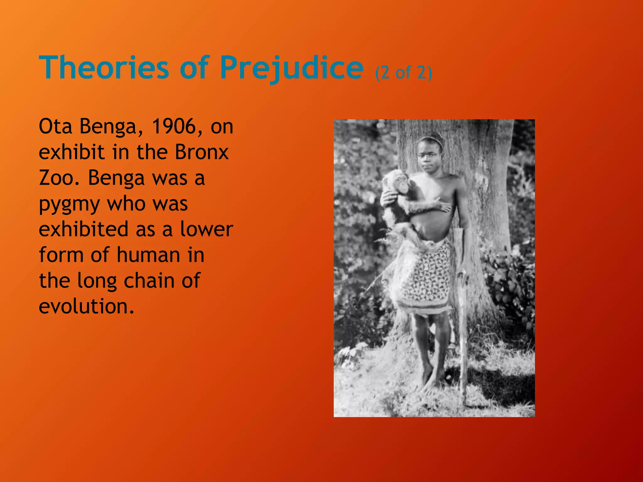 Theories of Prejudice (2 of 2)
Ota Benga, 1906, on
exhibit in the Bronx
Zoo. Benga was a
pygmy who was
exhibited as a lower
form of human in
the long chain of
evolution.
 
