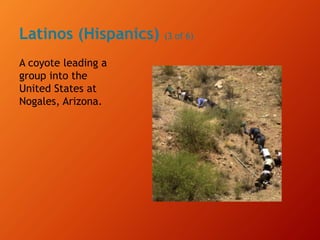 Latinos (Hispanics) (3 of 6)
A coyote leading a
group into the
United States at
Nogales, Arizona.
 