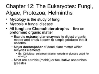 Chapter 12: The Eukaryotes: Fungi, Algae, Protozoa, Helminths ,[object Object],[object Object],[object Object],[object Object],[object Object],[object Object],[object Object]