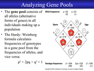 Weiberg Pool Chapter12 Biology of Evolution: microevolution | PPT