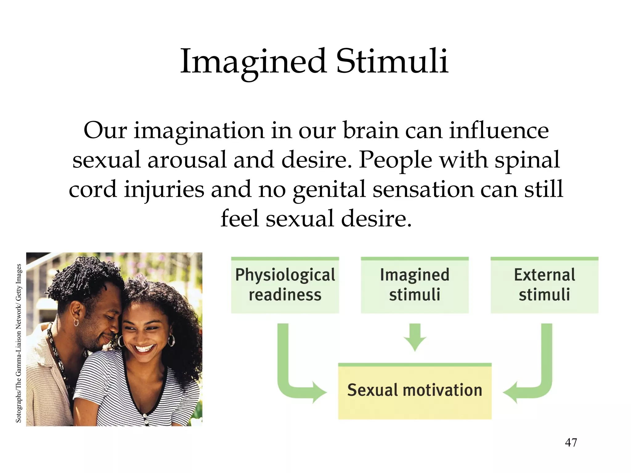 47
Imagined Stimuli
Our imagination in our brain can influence
sexual arousal and desire. People with spinal
cord injuries and no genital sensation can still
feel sexual desire.
Sotographs/TheGamma-LiaisonNetwork/GettyImages
 