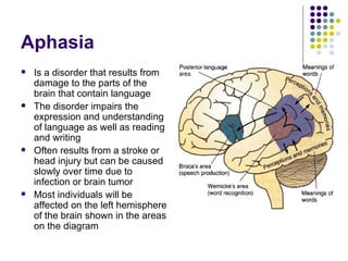 Chapter 12 nervous system | PPT