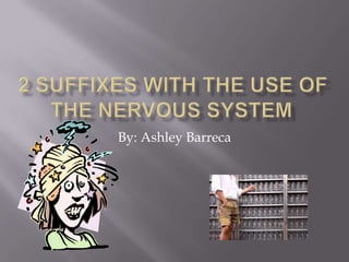 2 Suffixes with the use of the Nervous System	 By: Ashley Barreca 