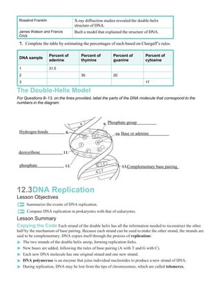 Rosalind Franklin                X-ray diffraction studies revealed the double-helix
                                  structure of DNA.
 James Watson and Francis         Built a model that explained the structure of DNA.
 Crick

 7. Complete the table by estimating the percentages of each based on Chargaff’s rules.

                     Percent of       Percent of         Percent of          Percent of
 DNA sample
                     adenine          thymine            guanine             cytosine

 1                   31.5
 2                                    30                 20
 3                                                                           17

The Double-Helix Model
For Questions 8–13, on the lines provided, label the parts of the DNA molecule that correspond to the
numbers in the diagram.



                                                      Phosphate group

 Hydrogen bonds                                               Base or adenine



 deoxyribose


 phosphate                    phos                                Complementary base pairing




12.3DNA Replication
Lesson Objectives
     Summarize the events of DNA replication.
     Compare DNA replication in prokaryotes with that of eukaryotes.
Lesson Summary
Copying the Code Each strand of the double helix has all the information needed to reconstruct the other
half by the mechanism of base pairing. Because each strand can be used to make the other strand, the strands are
said to be complementary. DNA copies itself through the process of replication:
    The two strands of the double helix unzip, forming replication forks.
    New bases are added, following the rules of base pairing (A with T and G with C).
    Each new DNA molecule has one original strand and one new strand.
    DNA polymerase is an enzyme that joins individual nucleotides to produce a new strand of DNA.
    During replication, DNA may be lost from the tips of chromosomes, which are called telomeres.
 