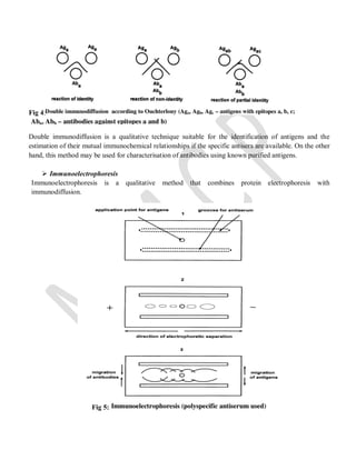 Fig 4:
Double immunodiffusion is a qualitative technique suitable for the identification of antigens and the
estimation of their mutual immunochemical relationships if the specific antisera are available. On the other
hand, this method may be used for characterisation of antibodies using known purified antigens.
 Immunoelectrophoresis
Immunoelectrophoresis is a qualitative method that combines protein electrophoresis with
immunodiffusion.
Fig 5:
 
