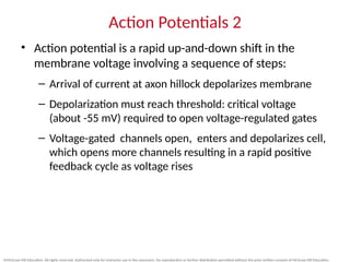 chapter 12 part 2 for Blackboard.pptx Electrical potential and currents ...