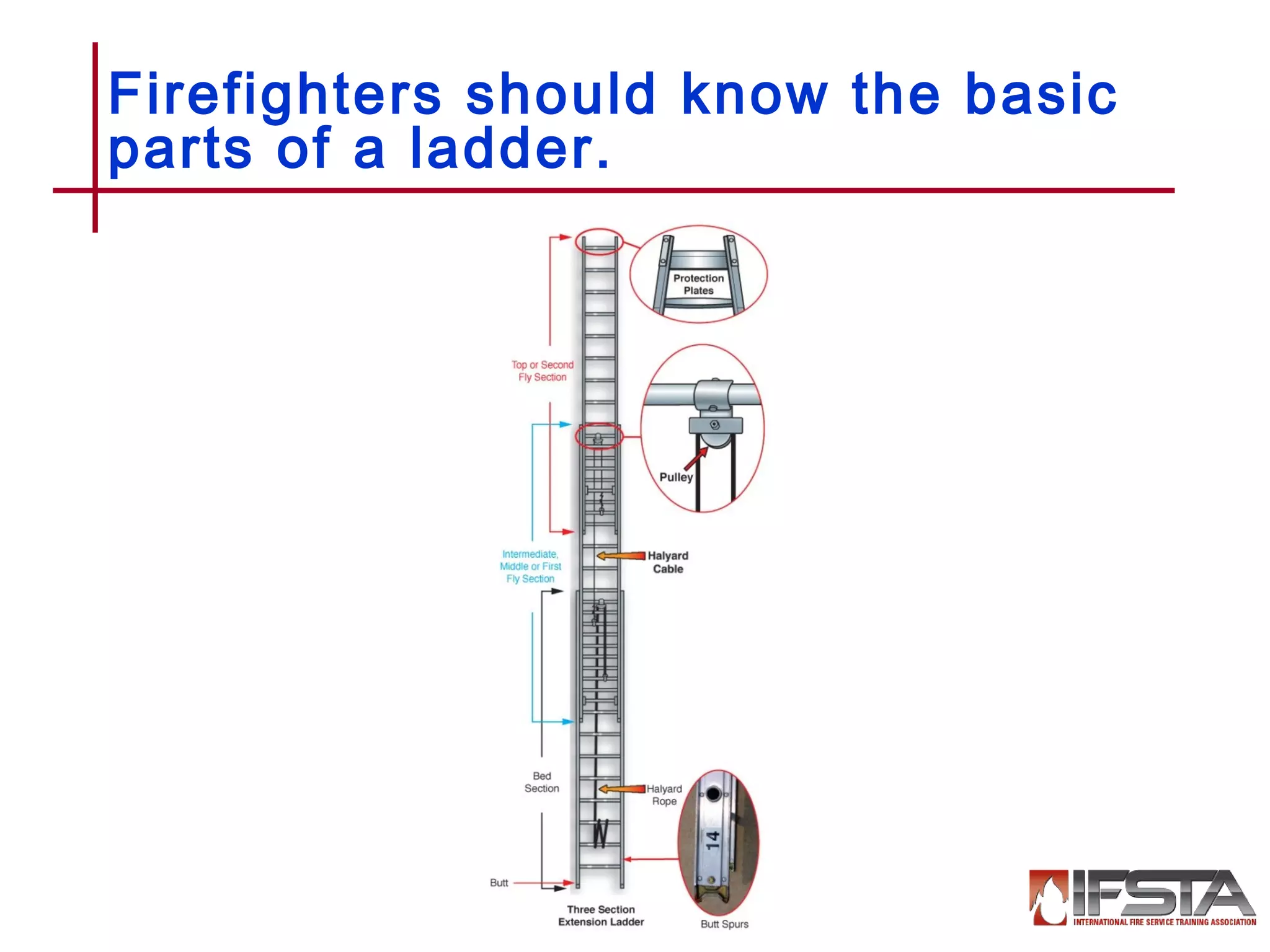 Firefighters should know the basic
parts of a ladder.
12–7
 