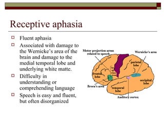 Receptive aphasia







Fluent aphasia
Associated with damage to
the Wernicke’s area of the
brain and damage to the
medial temporal lobe and
underlying white matte.
Difficulty in
understanding or
comprehending language
Speech is easy and fluent,
but often disorganized

 