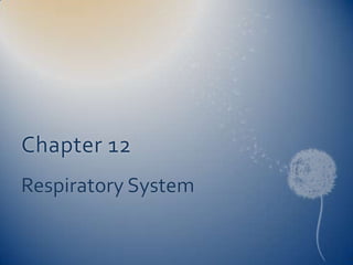 Chapter 12 Respiratory System 