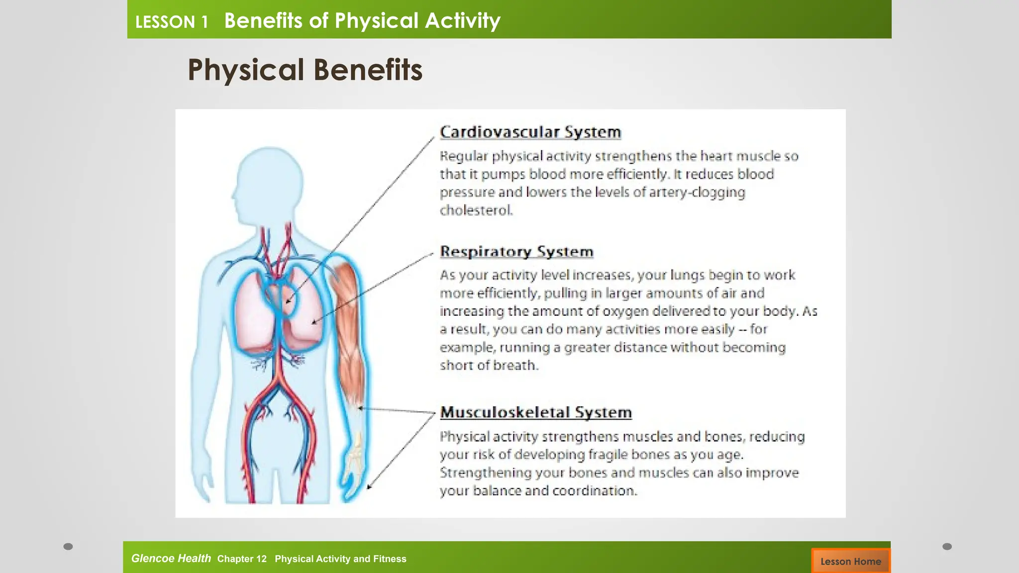 Physical Benefits
Glencoe Health Chapter 12 Physical Activity and Fitness
LESSON 1 Benefits of Physical Activity
Lesson Home
 