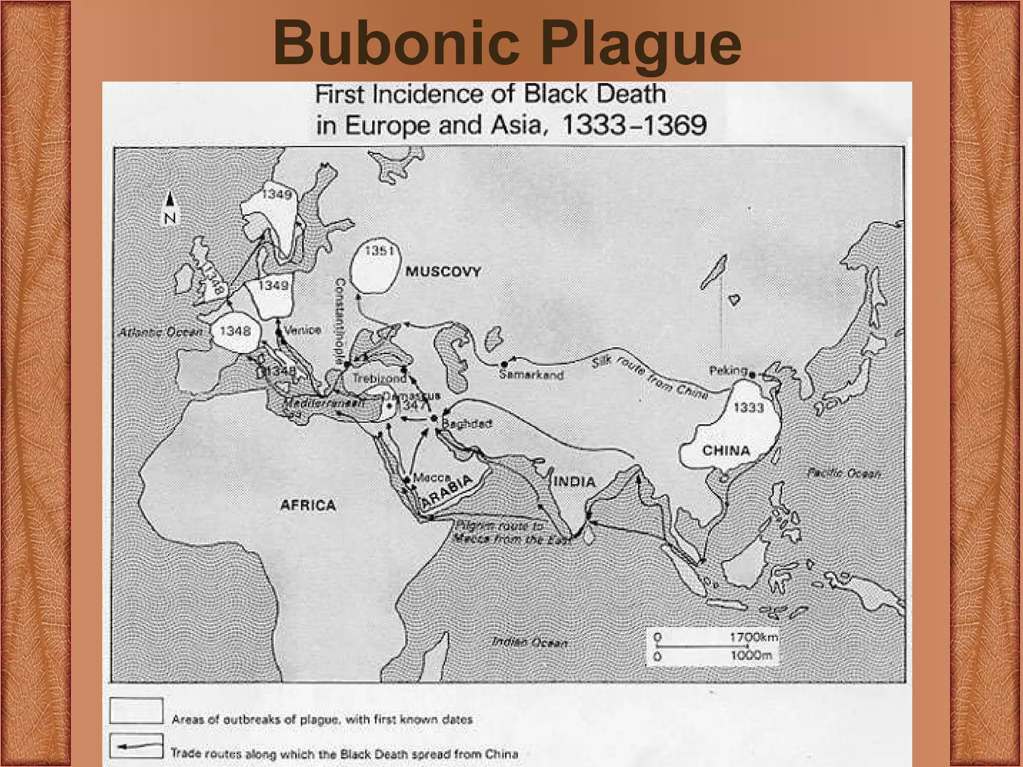 Bubonic Plague 