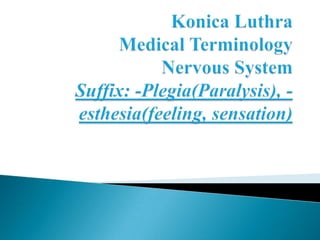 Konica LuthraMedical TerminologyNervous SystemSuffix: -Plegia(Paralysis), -esthesia(feeling, sensation) 