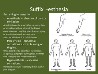 Suffix  -esthesiaPertaining to sensation.Anesthesia –  absence of pain or sensation.Anesthesia can be a partial or complete lossof sensation with or without the loss ofconsciousness, resulting from disease, injuryor administration of an anesthetic substance by injection or inhalation.Paresthesia – abnormal sensations such as burning or tingling.Often described by patients as numbness oras a prickly, stinging or burning feels. Commonwith the upper and lower extremities.  Hyperesthesia – excessive sensations.Increased sensitivity to sensory stimuli such aspain or touch.