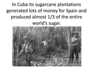 In Cuba its sugarcane plantations generated lots of money for Spain and produced almost 1/3 of the entire world’s sugar.