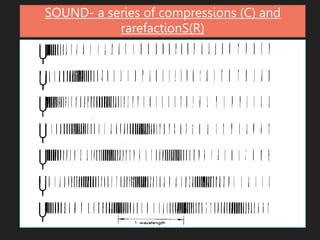 SOUND- a series of compressions (C) and
rarefactionS(R)
 