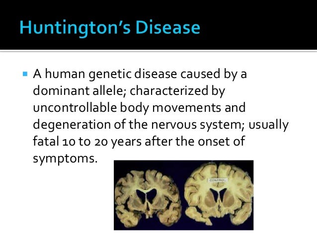 Holt Modern Biology Chapter 12 Vocab Words--Inheritance Patterns and