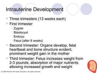 Intrauterine Development Three trimesters (13 weeks each) First trimester Zygote Blastocyst Embryo Fetus (after 8 weeks) Second trimester: Organs develop, fetal heartbeat and bone structure evident, prominent weight gain in the mother Third trimester: Fetus increases weight from 2-3 pounds; absorption of major nutrients allowing increased growth and weight 