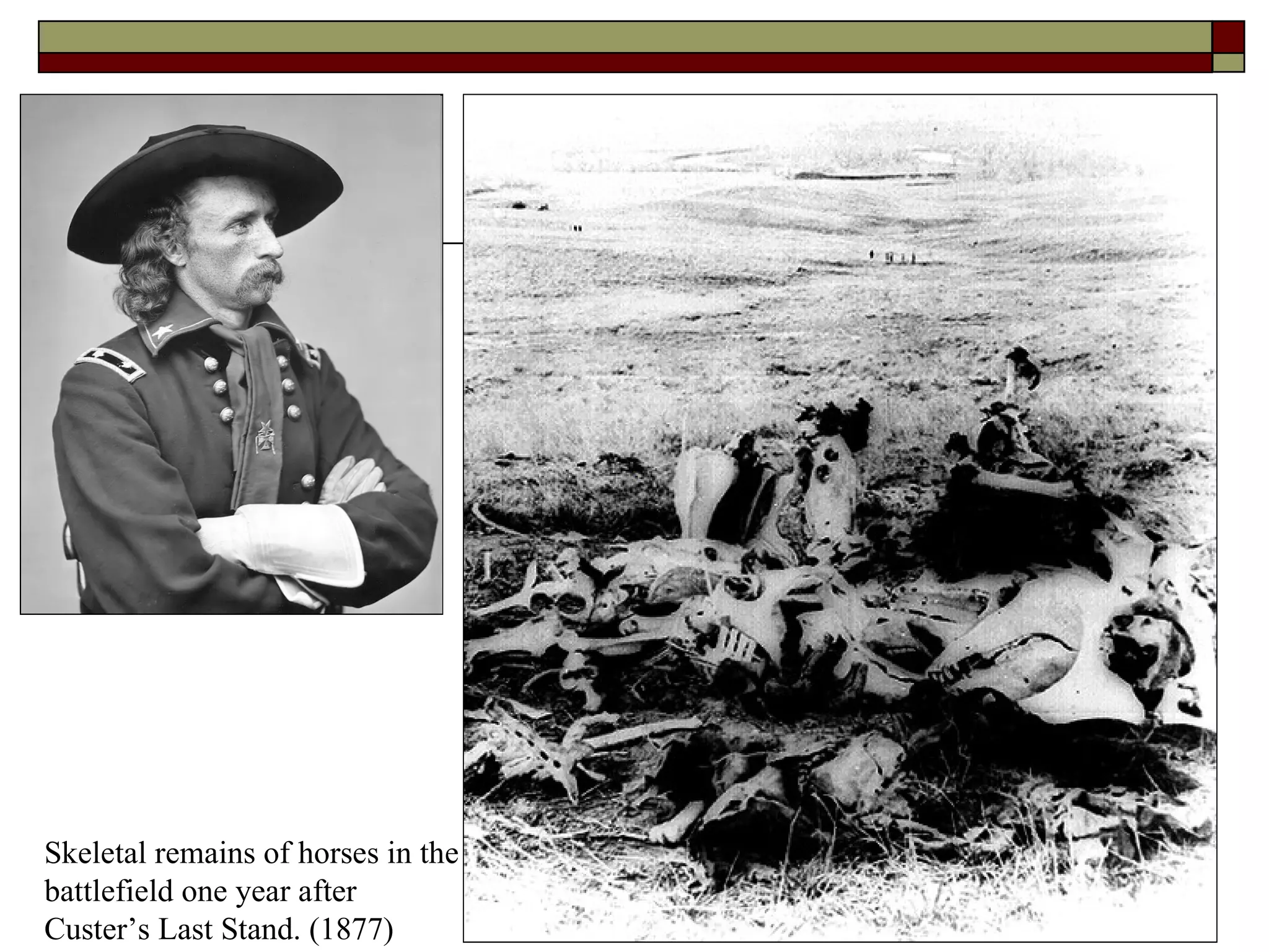Skeletal remains of horses in the battlefield one year after Custer’s Last Stand. (1877) 