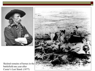 Skeletal remains of horses in the battlefield one year after Custer’s Last Stand. (1877) 