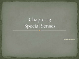 Sean Hannon Chapter 13Special Senses 