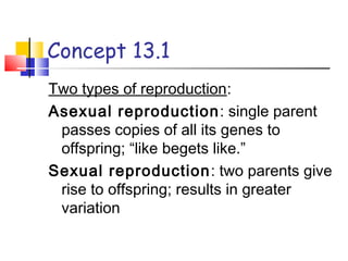 Chapter 13 | PPT