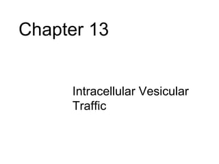 Chapter 13


     • Intracellular Vesicular
       Traffic
 
