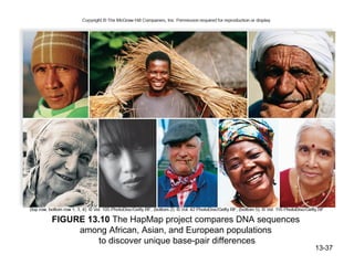 Bio 100 Chapter 13 | PPT