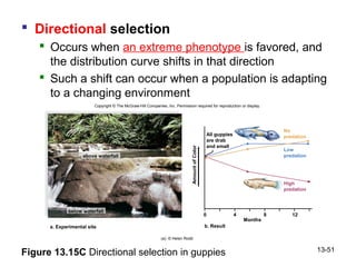 Bio 100 Chapter 13 | PPT