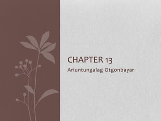 CHAPTER 13
Ariuntungalag Otgonbayar
 