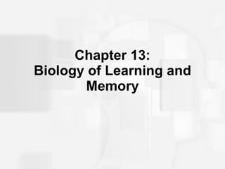 Chapter 13: Biology of Learning and Memory 