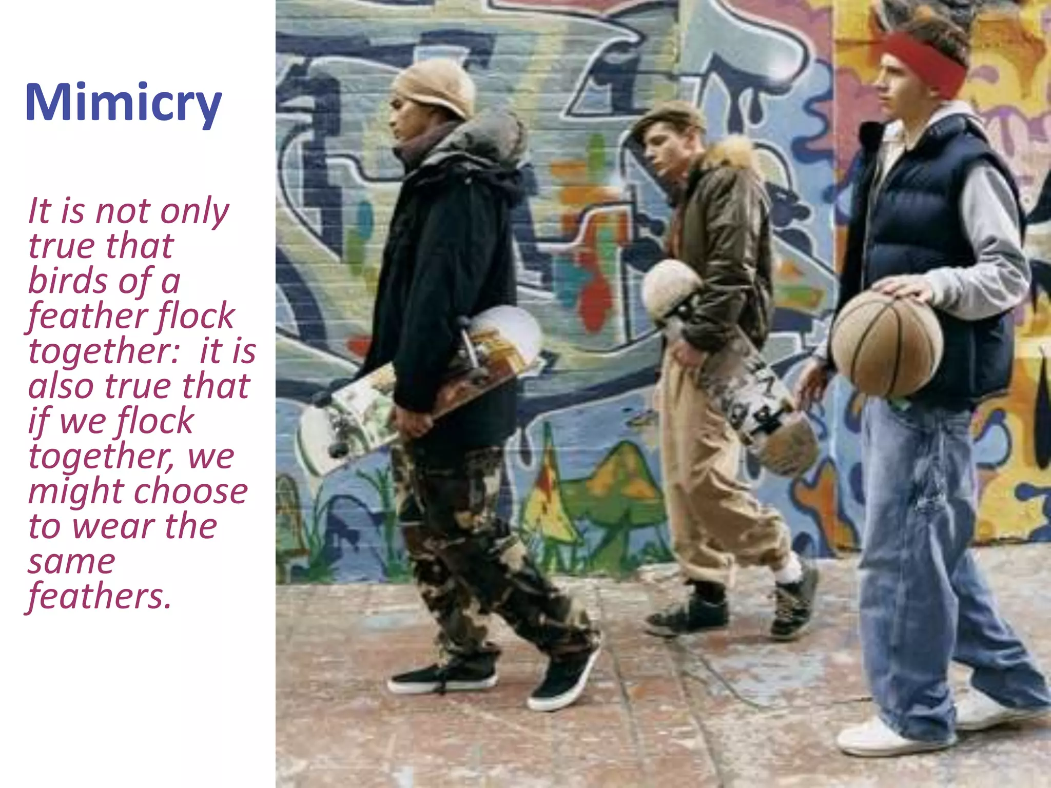 Mimicry
It is not only
true that
birds of a
feather flock
together: it is
also true that
if we flock
together, we
might choose
to wear the
same
feathers.

 