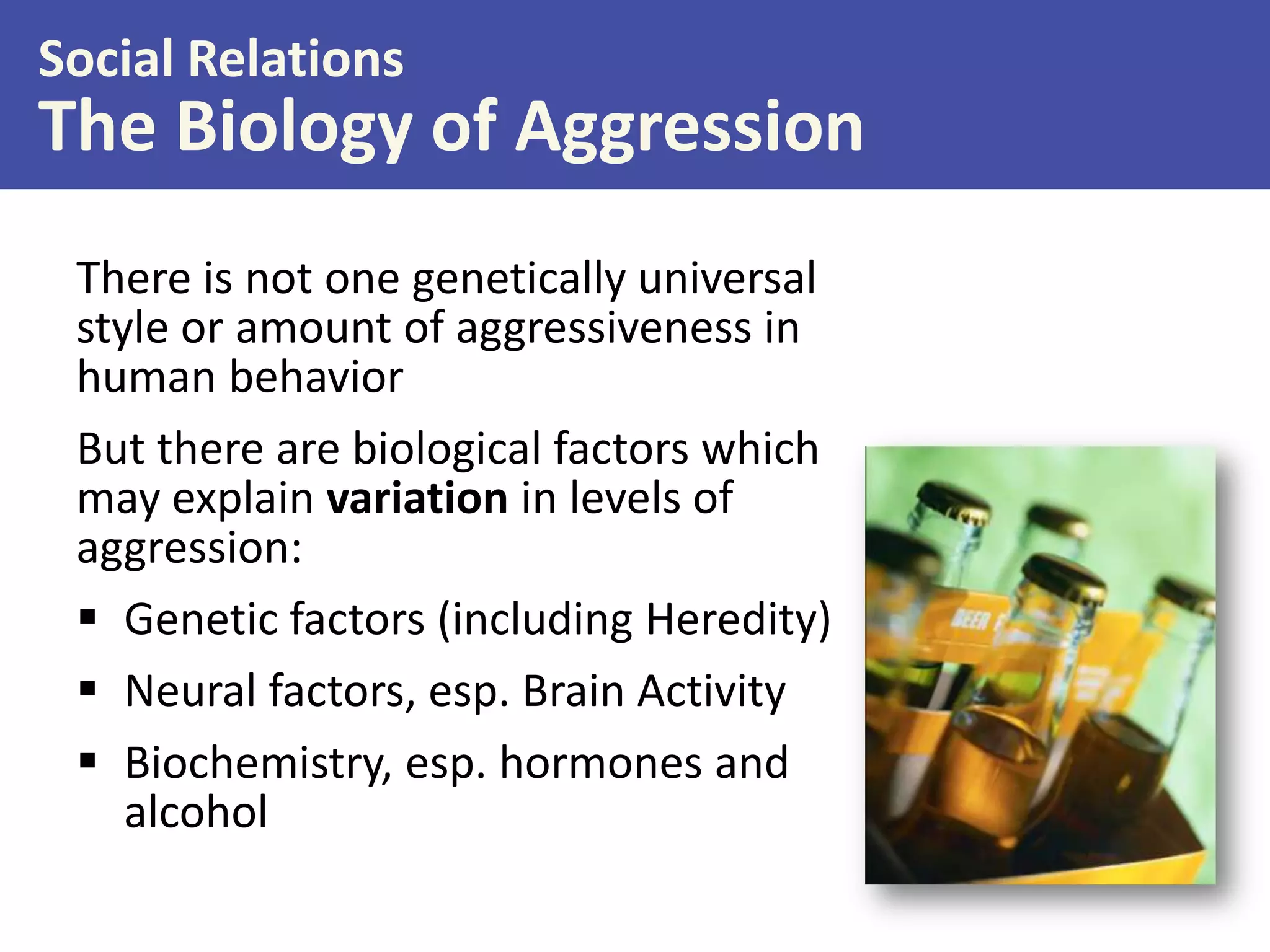 Social Relations

The Biology of Aggression
There is not one genetically universal
style or amount of aggressiveness in
human behavior
But there are biological factors which
may explain variation in levels of
aggression:
 Genetic factors (including Heredity)
 Neural factors, esp. Brain Activity
 Biochemistry, esp. hormones and
alcohol

 
