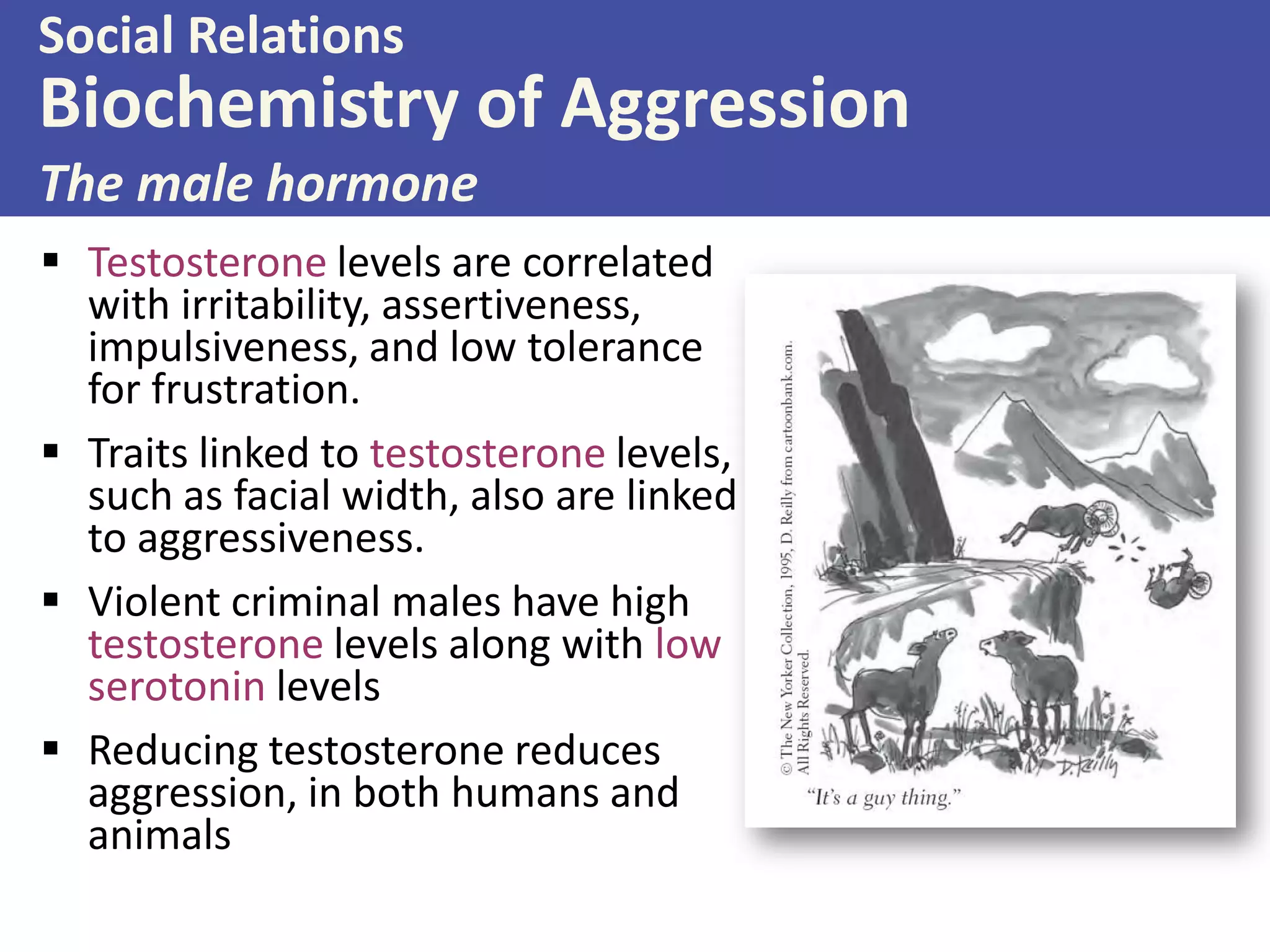 Social Relations

Biochemistry of Aggression
The male hormone
 Testosterone levels are correlated
with irritability, assertiveness,
impulsiveness, and low tolerance
for frustration.
 Traits linked to testosterone levels,
such as facial width, also are linked
to aggressiveness.
 Violent criminal males have high
testosterone levels along with low
serotonin levels
 Reducing testosterone reduces
aggression, in both humans and
animals

 