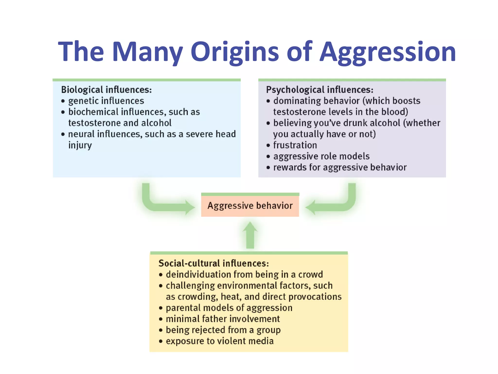 The Many Origins of Aggression

 