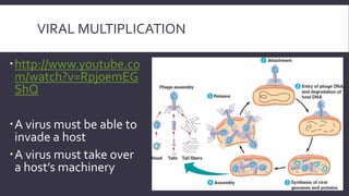 VIRAL MULTIPLICATION
http://www.youtube.co
m/watch?v=Rpj0emEG
ShQ

A virus must be able to
invade a host
A virus must take over
a host’s machinery

 